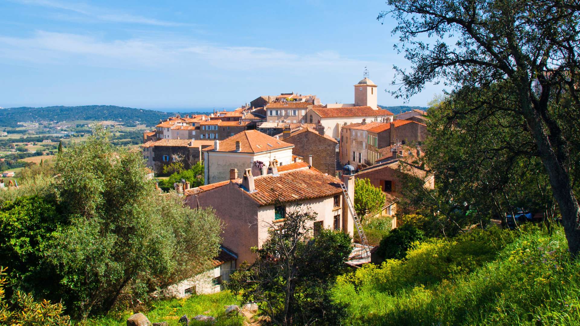 Vignobles et collines de Ramatuelle